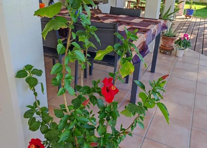 Tatil Evi Louisiane *